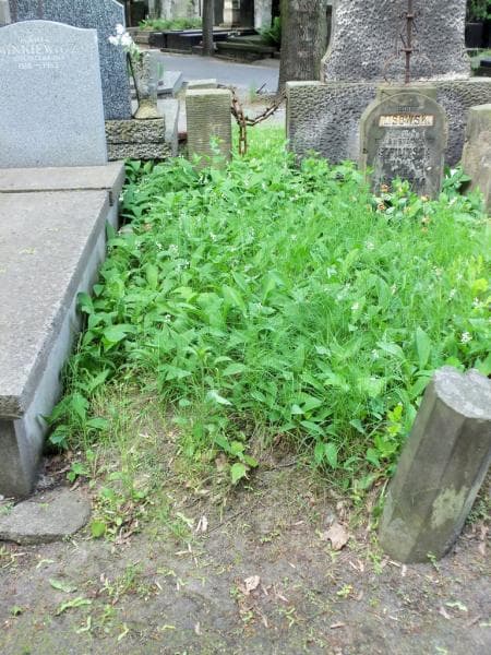 Zdjęcie grobu: Pole Grobowe