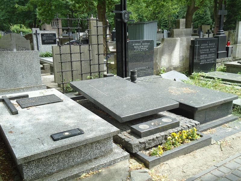 Zdjęcie grobu Władysław Czerwiński (2)