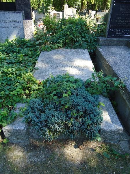 Zdjęcie grobu: Zofia Nierojewska