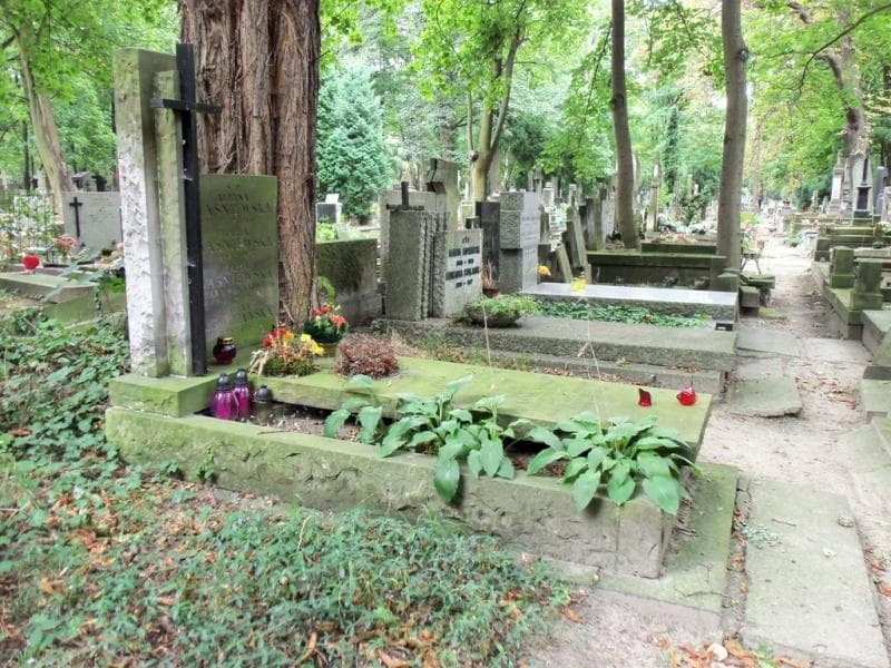 Zdjęcie grobu Halina Główczyńska (1)