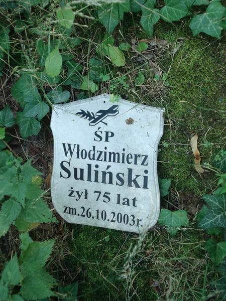 Zdjęcie grobu Anonim / Włodzimierz Suliński (1)