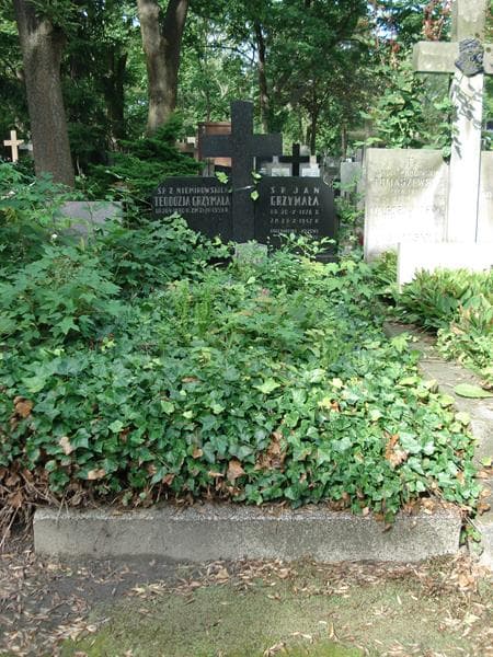 Zdjęcie grobu: Jan Grzymała