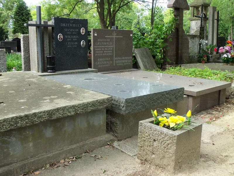 Zdjęcie grobu Czesław Drzewiecki (1)
