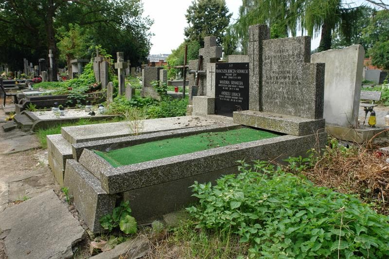 Zdjęcie grobu: Magdalena Rutkowska
