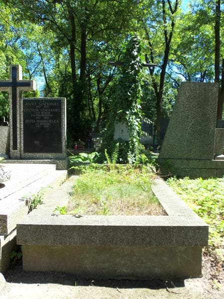 Zdjęcie grobu: Wacław Terpiłowski