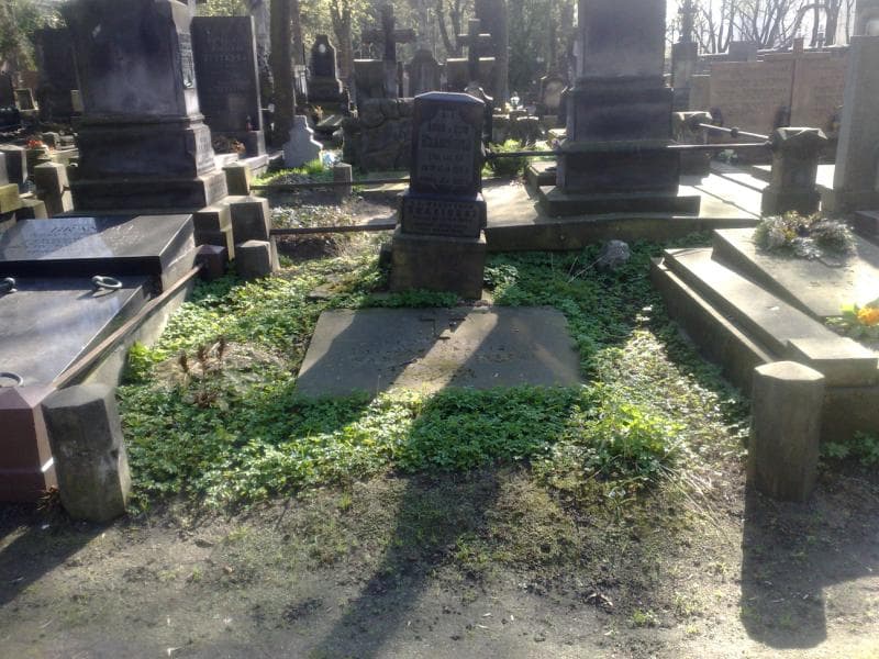 Zdjęcie grobu: Natalia Bogucka