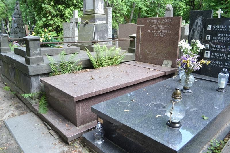 Zdjęcie grobu: Marian Górski