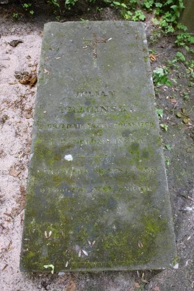 Zdjęcie grobu Julian Trzciński (2)