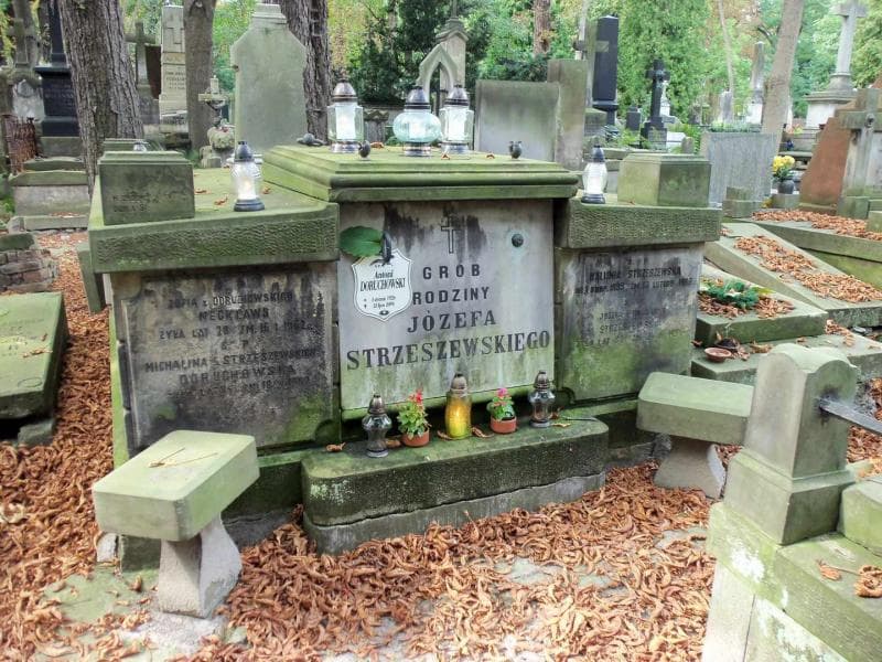 Zdjęcie grobu: Józefa Strzeszewska
