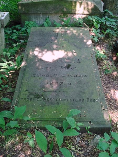 Zdjęcie grobu Kazimierz Seget (2)