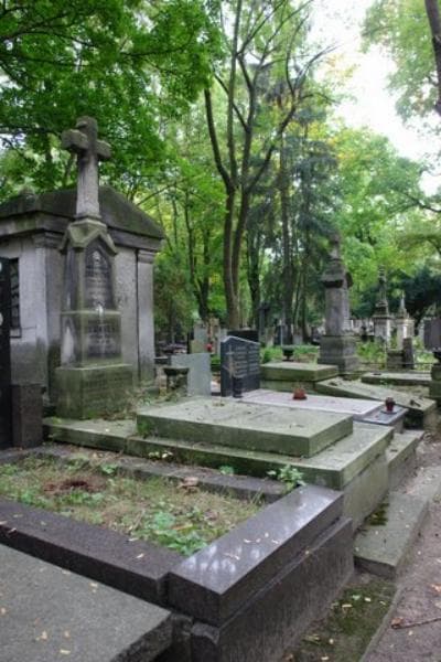 Zdjęcie grobu Michał Ludwik Jamnicki (1)