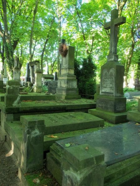 Zdjęcie grobu Zofia Stokowska (1)