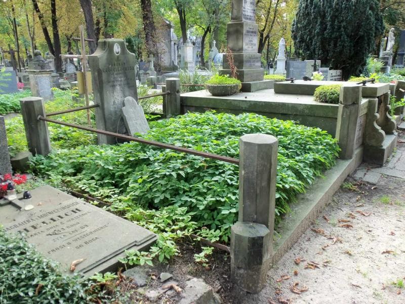 Zdjęcie grobu Józefa Goździejewska (1)