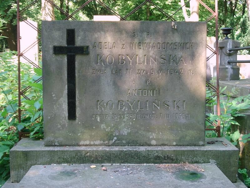 Zdjęcie grobu Honorata Kobylińska (2)