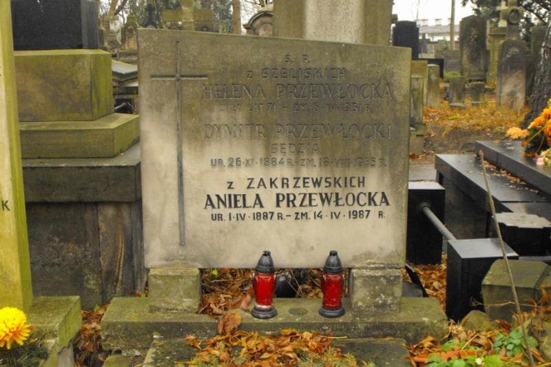 Zdjęcie grobu Aleksander Szeliski (2)