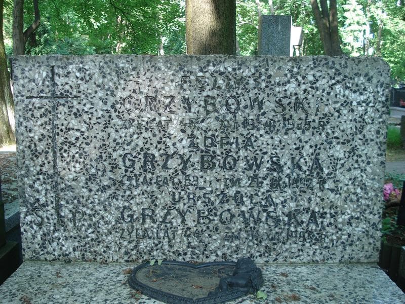 Zdjęcie grobu Feliks Grzybowski (1)