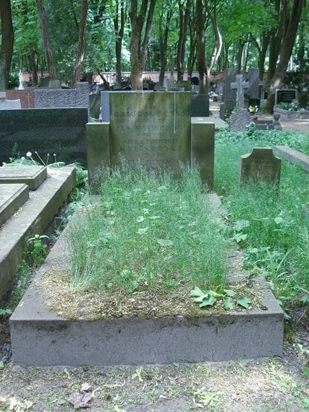 Zdjęcie grobu: Jan Malinowski