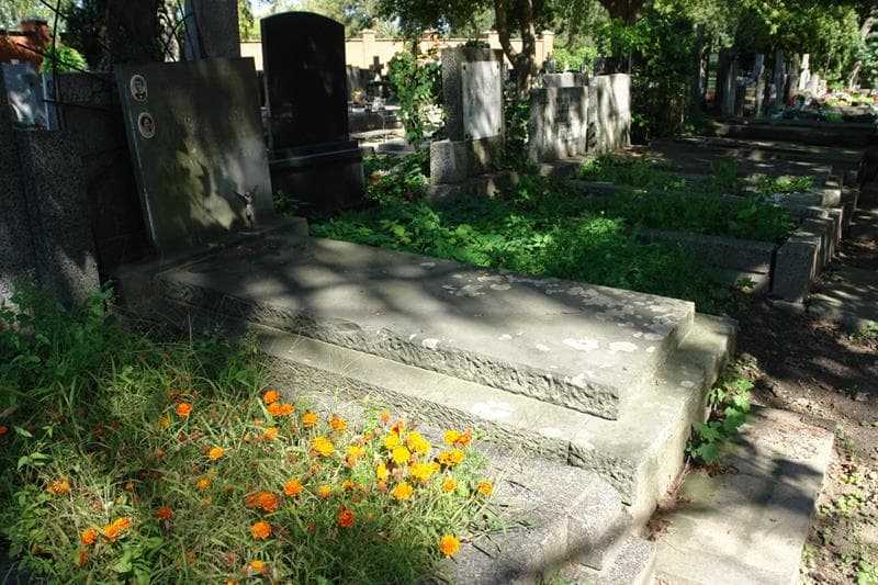 Zdjęcie grobu: Dominik Borowski