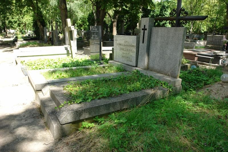 Zdjęcie grobu: Józefa Hopfer