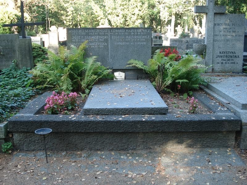 Zdjęcie grobu: Andrzej Słomczyński