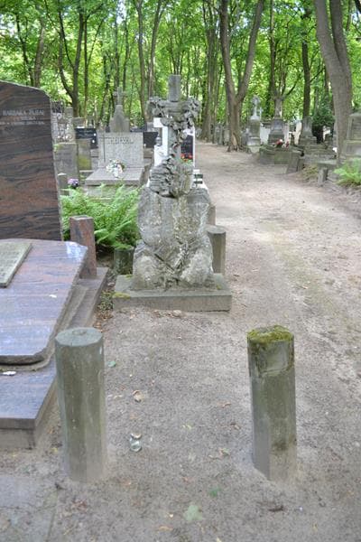 Zdjęcie grobu Władysław Gorowicz (1)
