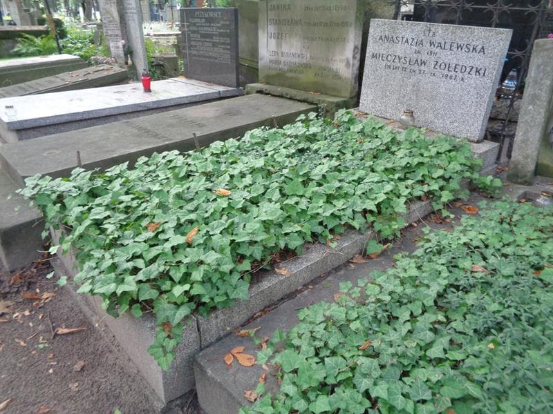 Zdjęcie grobu: Mieczysław Żołędzki