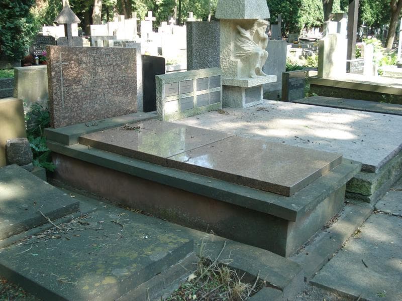 Zdjęcie grobu: Aleksander Wąsowski