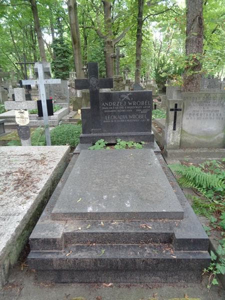 Zdjęcie grobu Andrzej Wróbel (1)