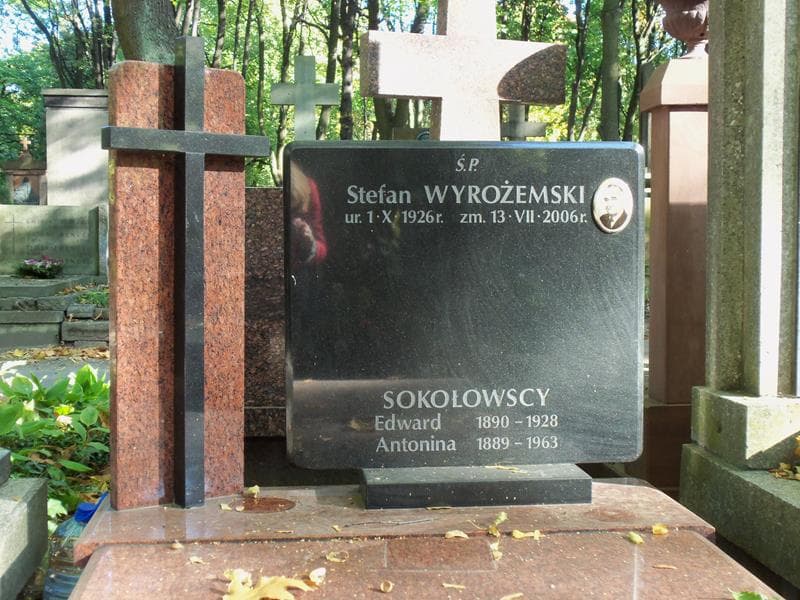 Zdjęcie grobu Stefan Wyrożemski (2)