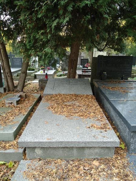 Zdjęcie grobu: Feliks Jerzyński