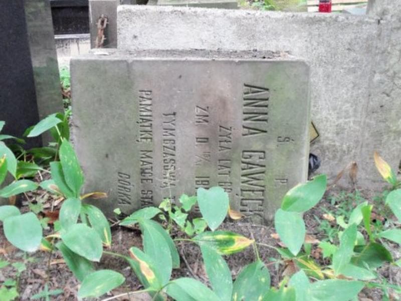 Zdjęcie grobu Anonim (1)