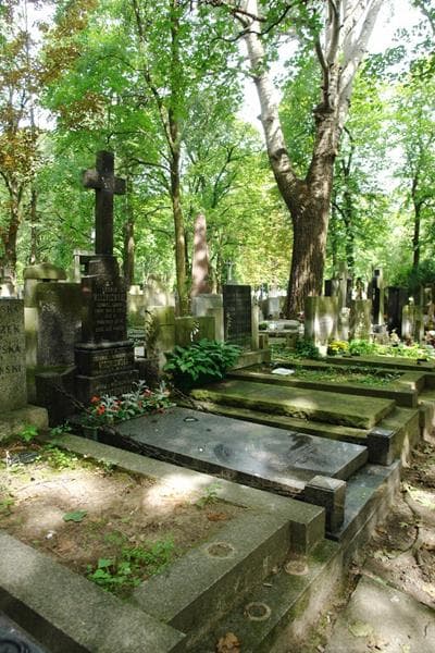 Zdjęcie grobu: Maria Gorzechowska - Wieliczko