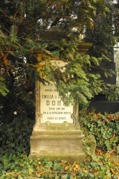 Zdjęcie grobu Leon Dohm (2)