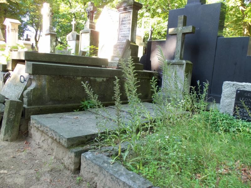 Zdjęcie grobu Józef Domański (1)