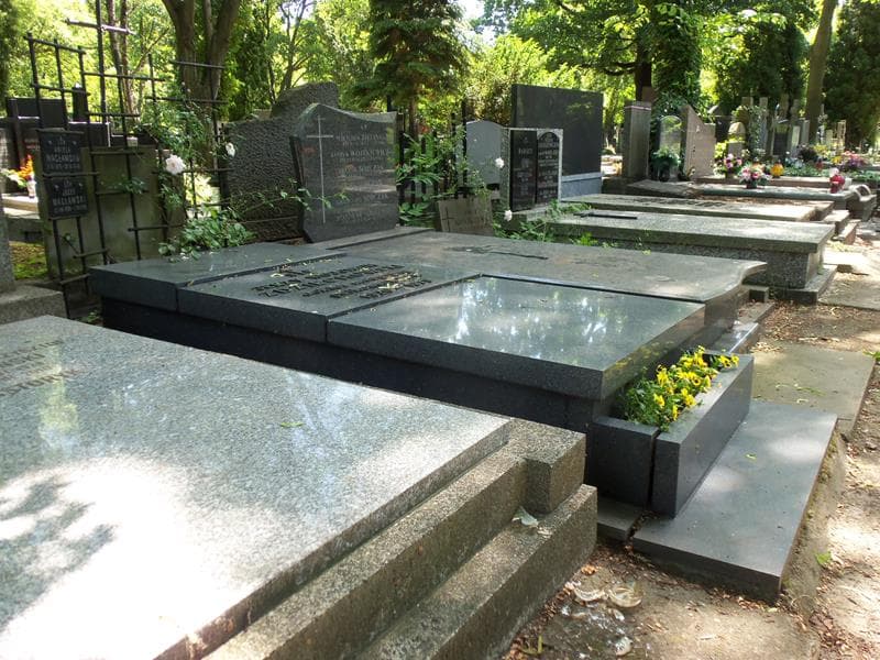 Zdjęcie grobu Aniela Wacławska (1)