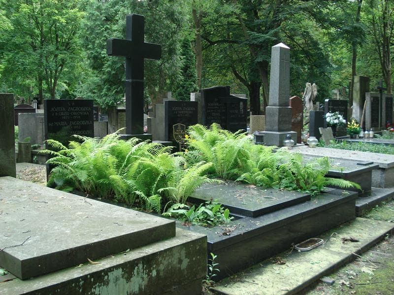Zdjęcie grobu Maria Zagrodzka (1)