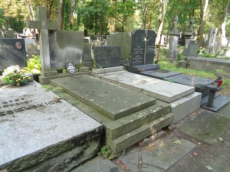 Zdjęcie grobu: Teofila Walczakowa