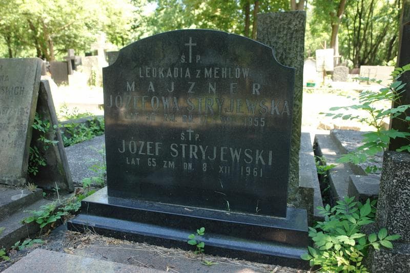 Zdjęcie grobu Józef Stryjewski (2)