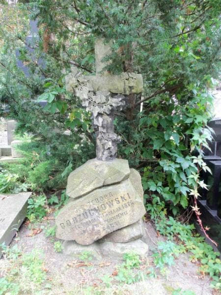 Zdjęcie grobu Teodor Borzuchowski (1)