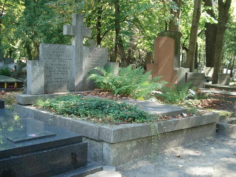 Zdjęcie grobu Zygmunt Chomiński (1)
