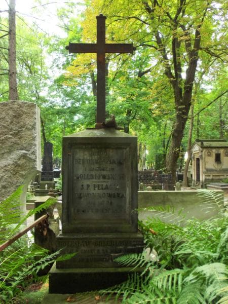 Zdjęcie grobu Pelagia Dzwonkowska (2)