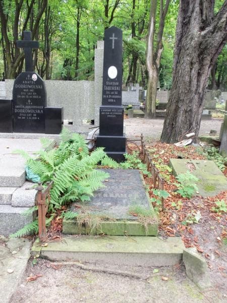 Zdjęcie grobu: Stanisław Tabeński