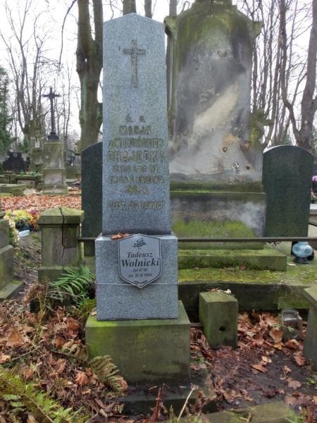 Zdjęcie grobu Marja Chajęcka (2)