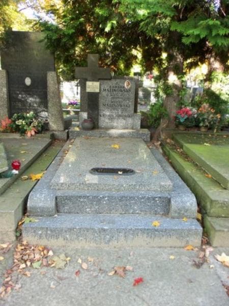 Zdjęcie grobu: Edward Malinowski