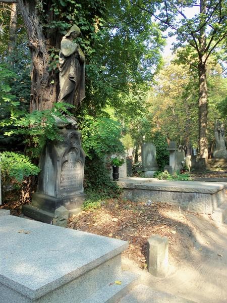 Zdjęcie grobu Mateusz Bogdański (1)