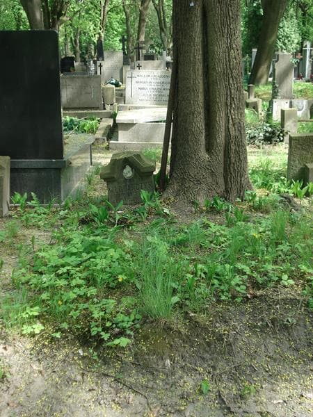 Zdjęcie grobu: Zofja Włodarczyk