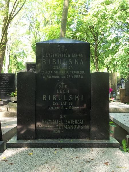 Zdjęcie grobu Lech Bibulski (2)