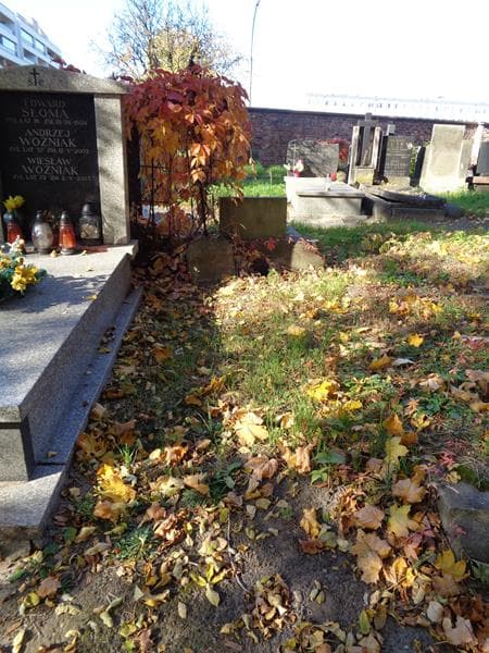 Zdjęcie grobu: Stanisław Zdroik