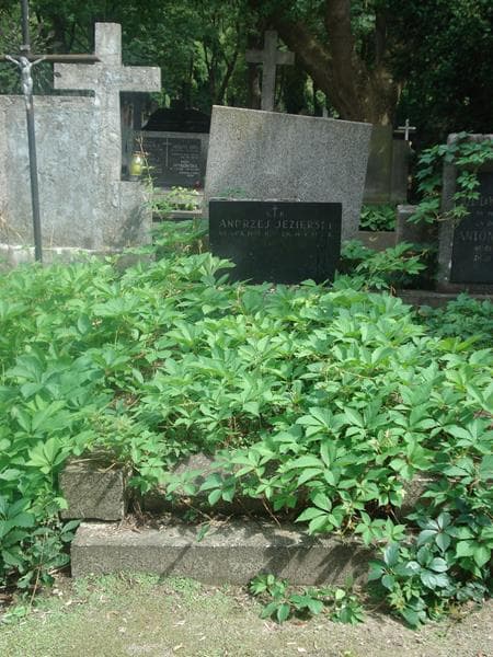 Zdjęcie grobu: Andrzej Jezierski