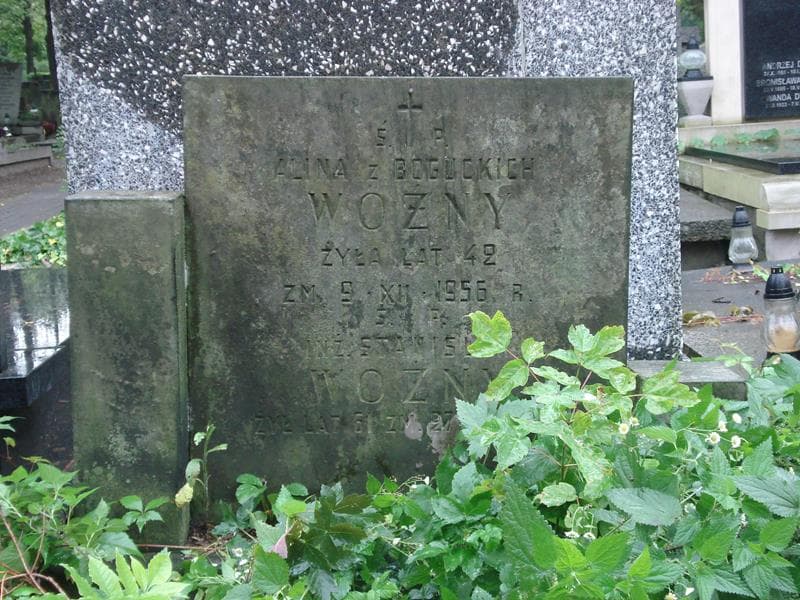 Zdjęcie grobu Alina Woźny (2)